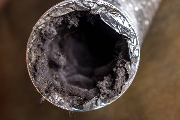 Best Affordable Air Duct Cleaning  in Lake Hamilton, FL