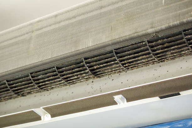 Best HVAC System Cleaning  in Lake Hamilton, FL