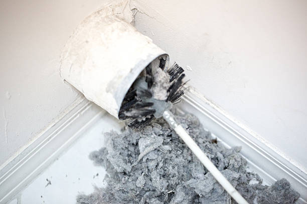 Best Ductwork Cleaning Services  in Lake Hamilton, FL