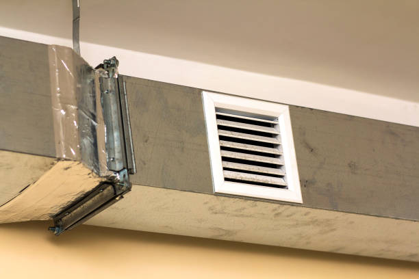 Best Professional Duct Cleaning Services  in Lake Hamilton, FL